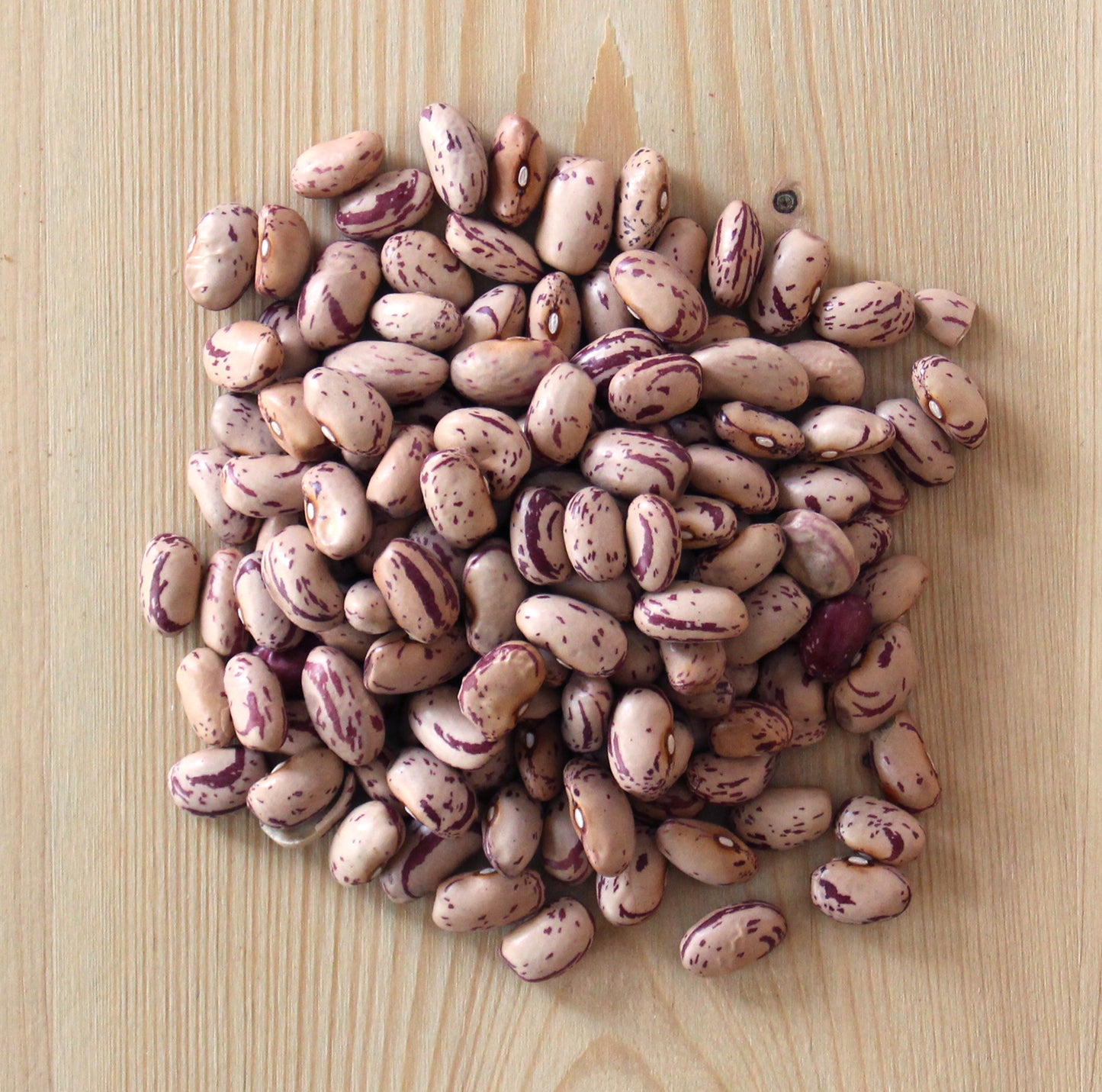 Selected Natural Dried Borlotti Beans