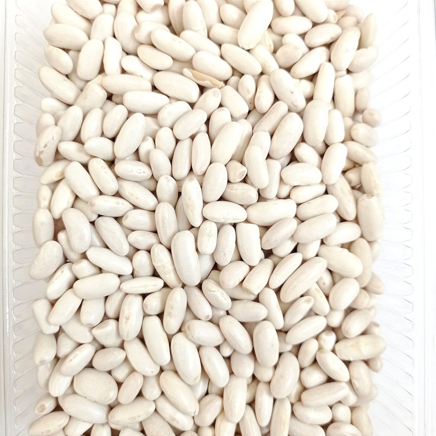 Selected Natural Dried Cannellini Beans