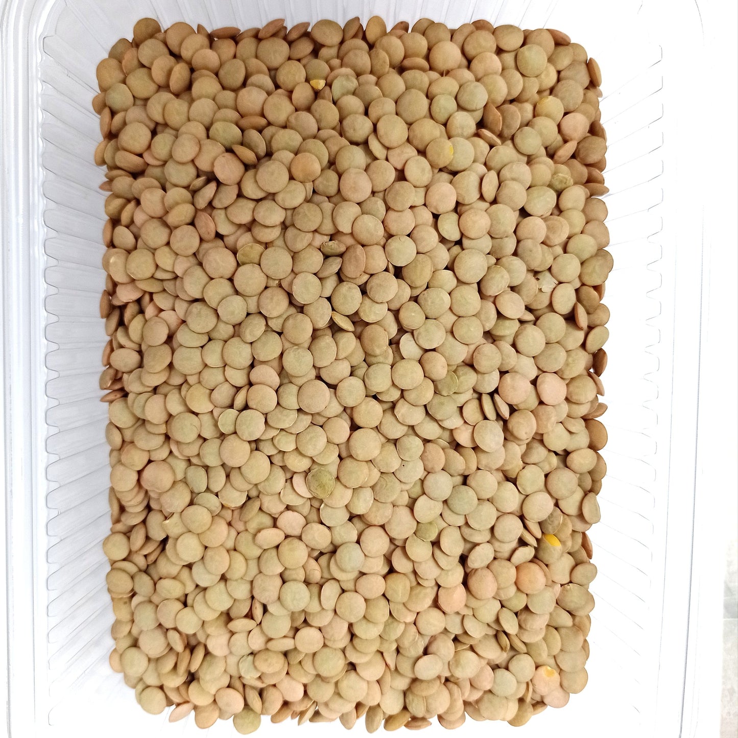 Selected Natural Green Lentils