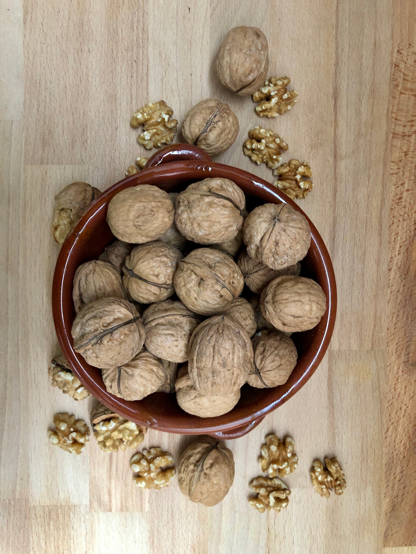 Natural Walnuts in Shell 34/36 Calibrated Selected