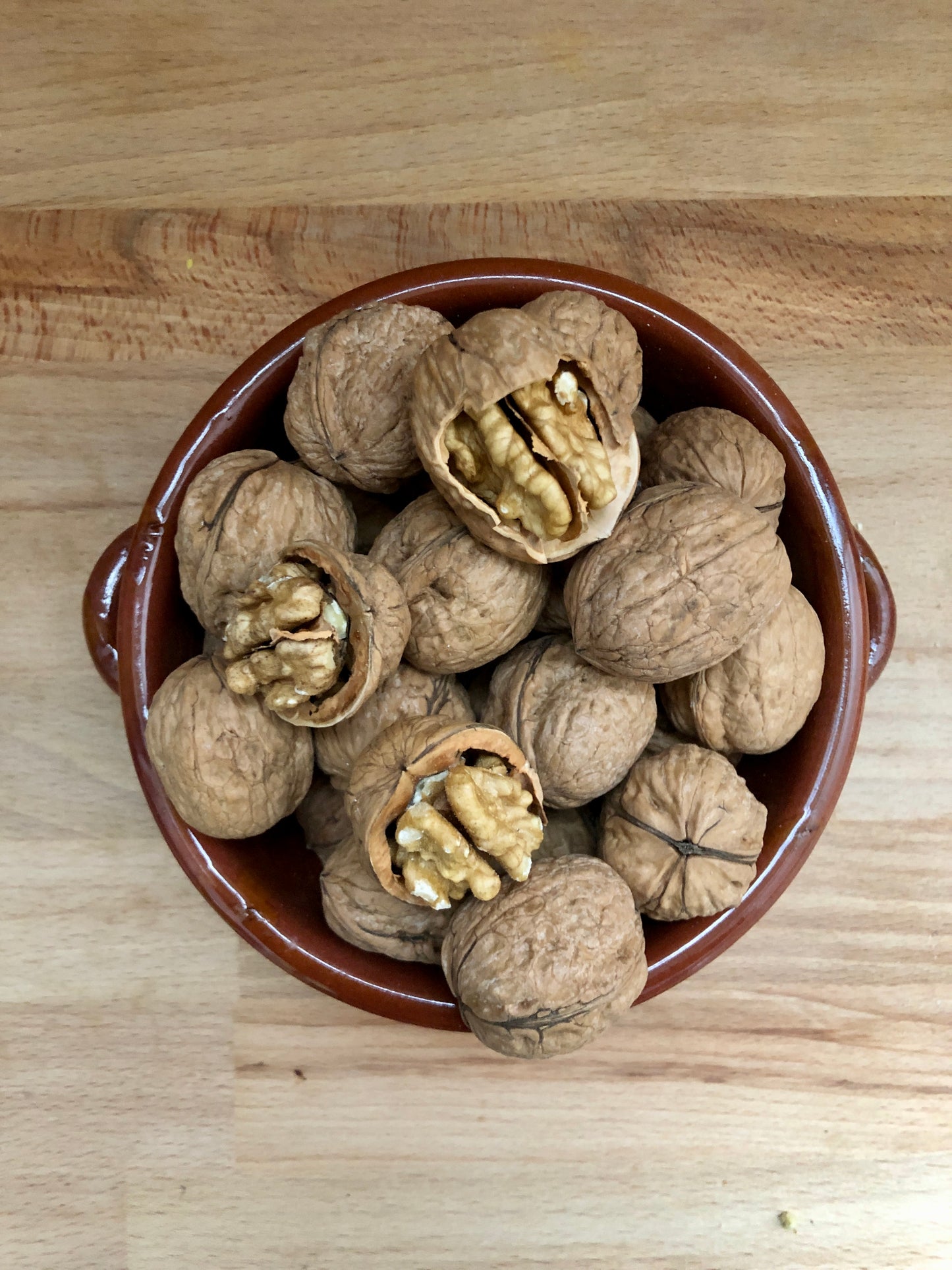 Natural Walnuts in Shell 34/36 Calibrated Selected