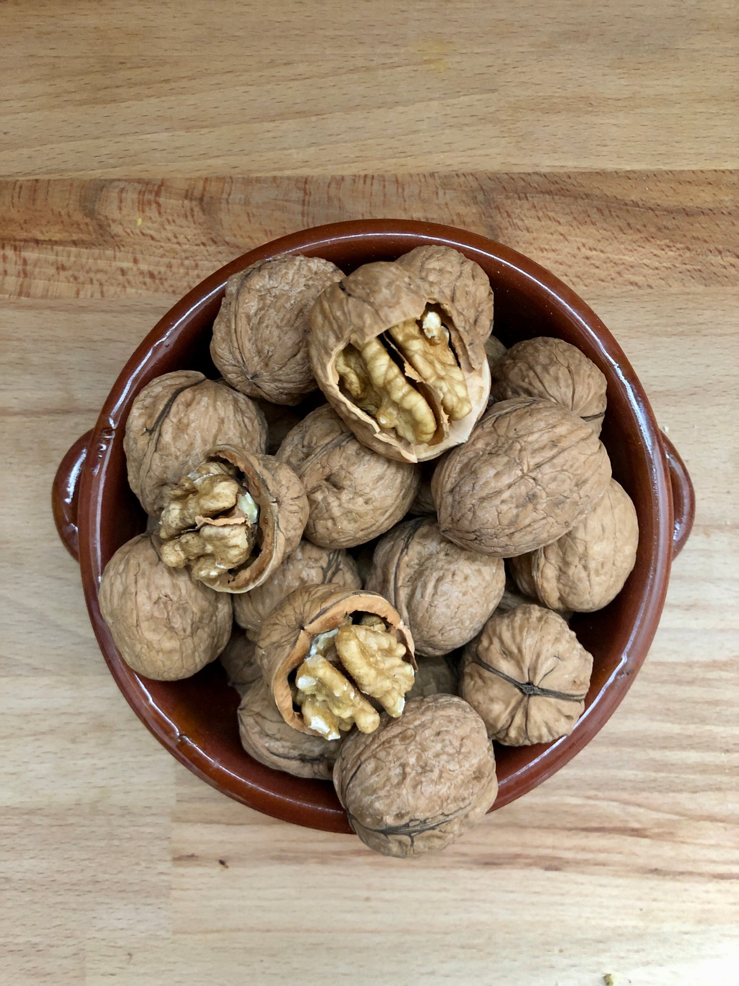 Natural Walnuts in Shell 34/36 Calibrated Selected