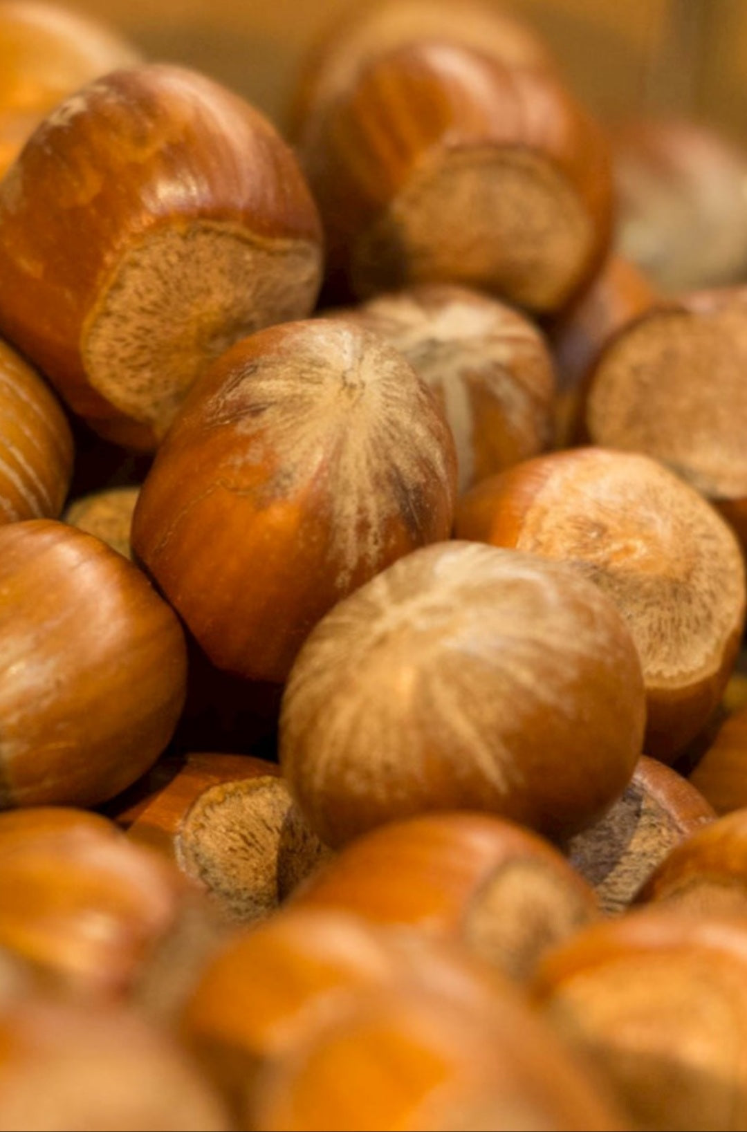 Noisettes italiennes naturelles calibrées en coque