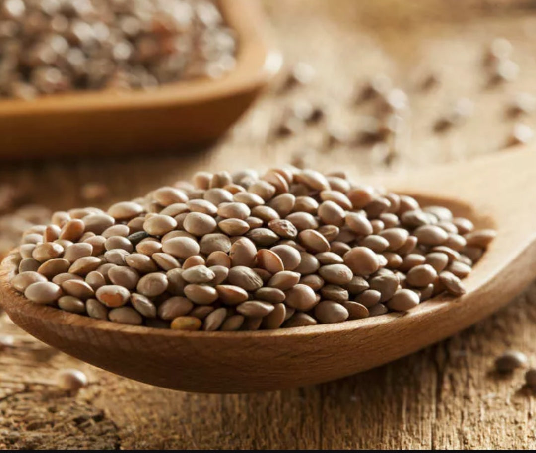 Lentilles calabraises issues de nos cultures de produits naturels