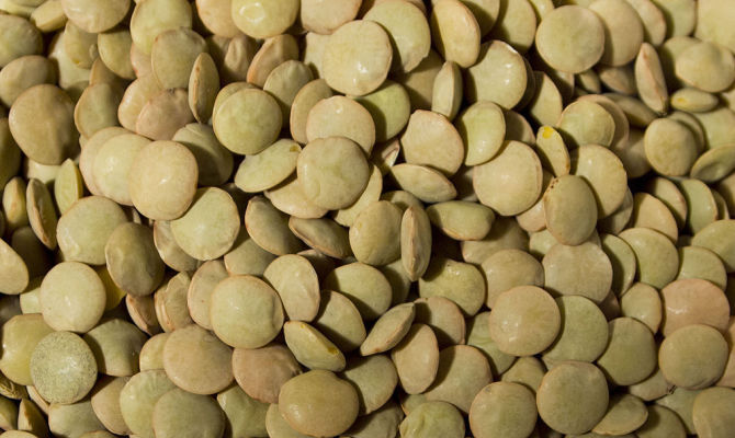 Selected Natural Green Lentils