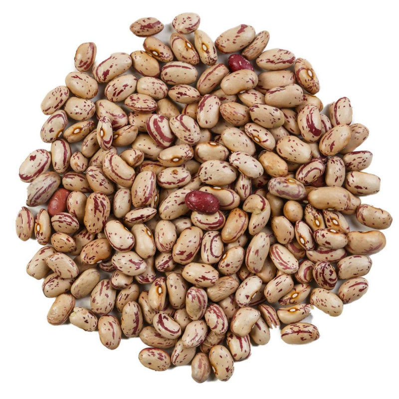 Selected Natural Dried Borlotti Beans