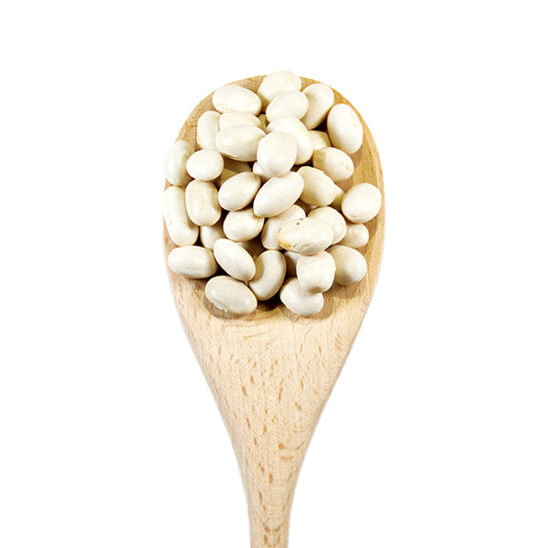 Selected Natural Dried Cocos Beans