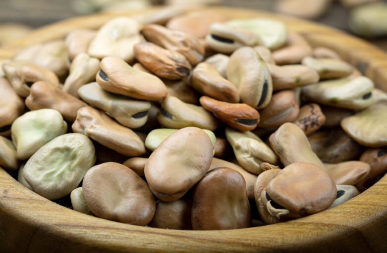 Dried broad beans from our crops. Natural product